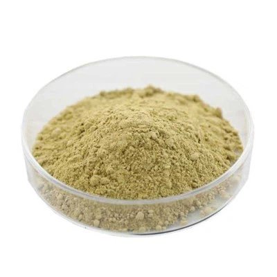 Schizochytrium водорасли